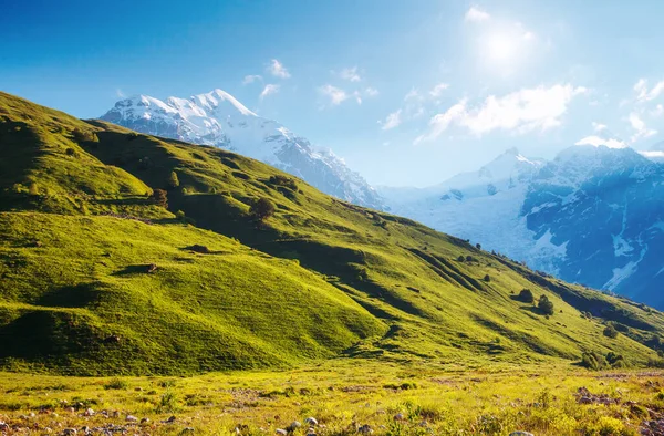 Traumhafte Schneegipfel Fuße Des Tetnuldi Gletschers Morgenlicht Malerische Und Wunderschöne — Stockfoto