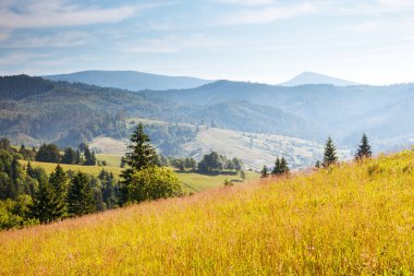 Güneş ışığıyla parlayan Alp Vadisi 'nin harika manzarası. Resim gibi ve muhteşem bir sabah sahnesi. Popüler turist eğlencesi. Mekan Karpatlar, Ukrayna, Avrupa. Sanatsal resim. Güzellik dünyası