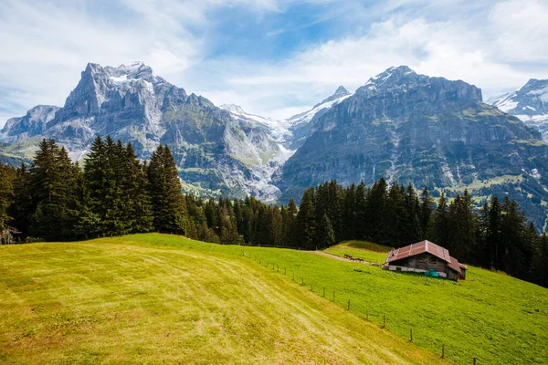 Eiger Köyü 'nün manzarası çok etkileyici. Resimli ve muhteşem bir sahne. Popüler turist eğlencesi. İsviçre Alpleri, Grindelwald Vadisi, Bernese Oberland, Avrupa. Güzellik dünyası.