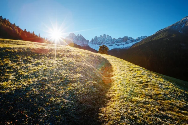 Güneş Işığıyla Parlayan Alp Tepesi Nin Canlı Görüntüsü Harika Muhteşem — Stok fotoğraf