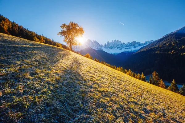 Élénk Kilátás Nyílik Alpesi Dombra Mely Napfényben Ragyog Nagyszerű Gyönyörű — Stock Fotó