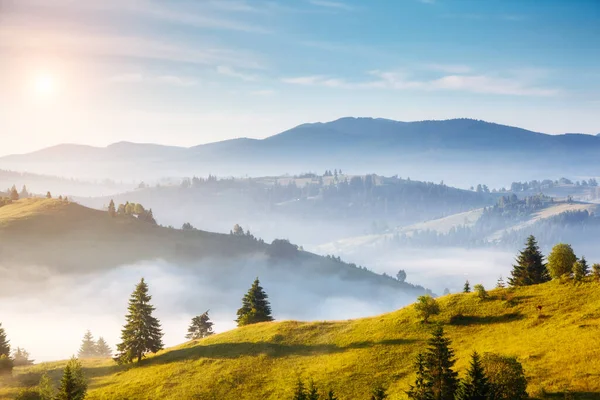 Fantastisk Utsikt Över Den Alpina Dalen Som Glöder Solljus Pittoresk — Stockfoto