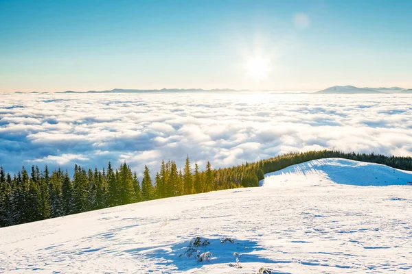 Pohled Zamlžené Údolí Zářící Slunečním Světlem Malebná Nádherná Zimní Scéna — Stock fotografie