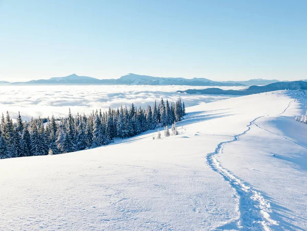 Zicht Mistige Vallei Stralend Door Zonlicht Schilderachtige Prachtige Winterse Scène — Stockfoto