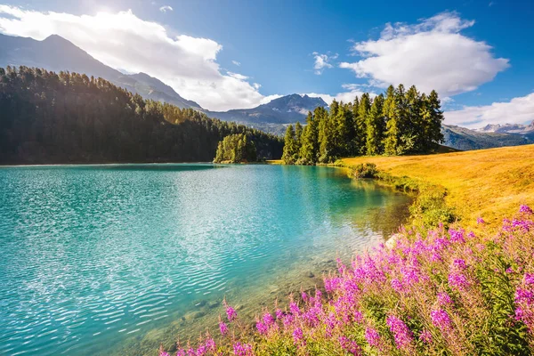 Krásný Výhled Azurový Rybník Champfer Alpském Údolí Oblíbená Turistická Atrakce — Stock fotografie
