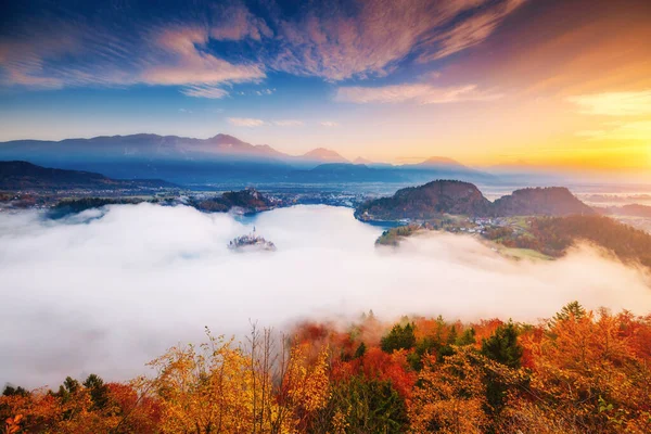 Vista Aérea Ilha Lago Alpino Bled Miradouro Osojnica Grande Linda — Fotografia de Stock