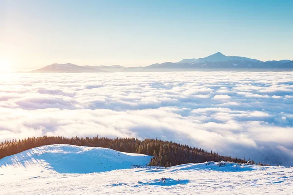 Zicht Mistige Vallei Stralend Door Zonlicht Schilderachtige Prachtige Winterse Scène — Stockfoto