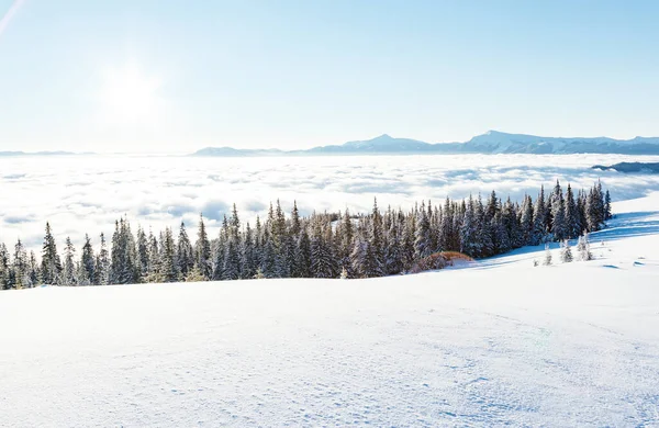 Blick Auf Das Neblige Tal Das Vom Sonnenlicht Erleuchtet Wird — Stockfoto