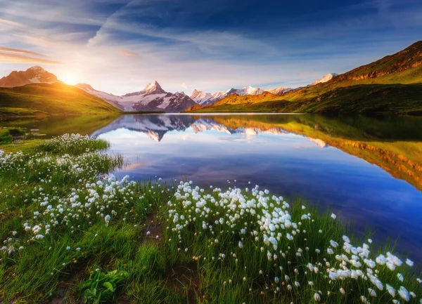 Ottima Vista Sul Schreckhorn Wetterhorn Sopra Lago Bachalpsee Scena Drammatica — Foto Stock