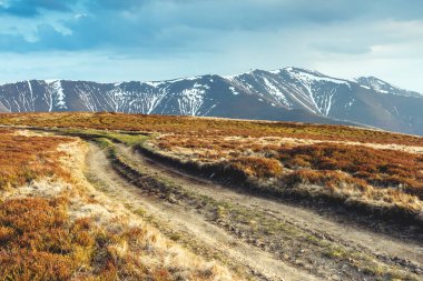Güneş ışığıyla parlayan sihirli aralığın harika manzarası. Dramatik sahne ve resimli resim. Mekan Karpatlar, Ukrayna, Avrupa. Güzellik dünyası. Retro ve klasik tarzda. Instagram tonlama efekti.