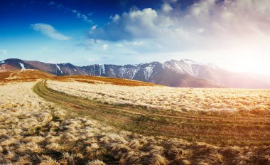 Güneş ışığıyla parlayan sihirli sarı kuru çimenler. Dramatik sahne ve resimli resim. Mekan Karpatlar, Ukrayna, Avrupa. Güzellik dünyası. Yumuşak filtre, klasik tarz. Instagram tonlama efekti