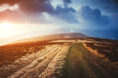 Bulutlu gökyüzünün altındaki sihirli aralığın harika manzarası. Dramatik sahne ve resimli resim. Mekan Karpatlar, Ukrayna, Avrupa. Güzellik dünyası. Retro ve klasik tarzda. Instagram tonlama efekti.