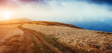 Güneş ışığıyla parlayan sihirli sarı kuru çimenler. Dramatik sahne ve resimli resim. Mekan Karpatlar, Ukrayna, Avrupa. Güzellik dünyası. Yumuşak filtre, klasik tarz. Instagram tonlama efekti