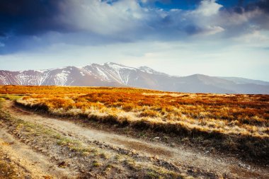 Bulutlu gökyüzünün altındaki kar manzarası harika. Dramatik sahne ve resimli resim. Mekan Karpatlar, Ukrayna, Avrupa. Güzellik dünyası. Retro ve klasik tarzda. Instagram tonlama efekti.