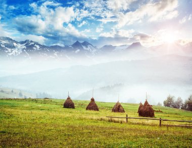 Güneş ışığıyla parlayan yeşil tepelerin harika manzarası. Dramatik sahne ve resimli resim. İsviçre Alpleri, Avrupa. Güzellik dünyası. Yumuşak filtre, klasik tarz. Instagram tonlama efekti.