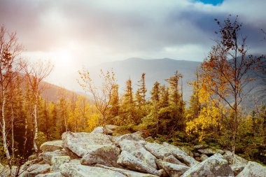 Güneş ışığıyla parlayan sisli vadinin manzarası. Dramatik sahne ve resimli resim. Mekan Karpatlar, Ukrayna, Avrupa. Güzellik dünyası. Retro ve klasik tarzda. Instagram tonlama efekti.