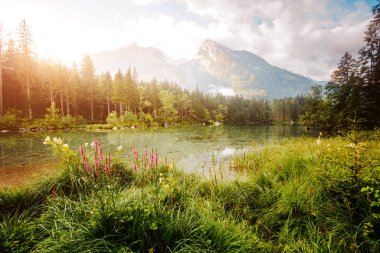 Hintersee Gölü 'nün ünlü turistik cazibesi. Resimli bir sahne. Yer tesisi Ramsau, Ulusal Park Berchtesgadener Toprakları, Yukarı Bavyera, Almanya Alpleri, Avrupa. Dünyanın güzelliğini keşfedin.