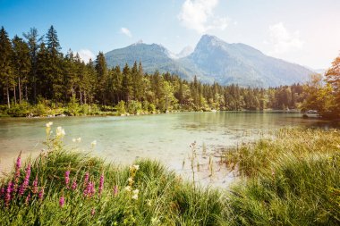 Ünlü Hintersee Gölü gezegendeki en iyi yerlerden biridir. Resimli bir sahne. Yer tesisi Ramsau, Ulusal Park Berchtesgadener Toprakları, Yukarı Bavyera, Almanya Alpleri, Avrupa. Dünyanın güzelliğini keşfedin.