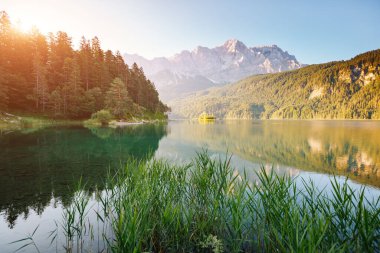 Sunligth 'teki ünlü Eibsee Gölü' ne bir göz atalım. Resimli bir gün muhteşem bir sahne. Konum tesisi Garmisch-Partenkirchen Bavyera Alpleri, Avrupa turu. Dünyadaki en iyi yer. Dünyanın güzelliğini keşfedin.
