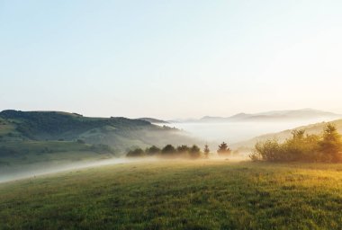 Sabahın köründe bir çiftliğin etrafında dolaşmak. Harika bir gün ve muhteşem bir sahne. Mekan Karpatlar, Ukrayna, Avrupa. Açık havada mükemmel bir tatil. Dünyanın güzelliğini keşfedin.