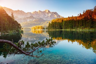 Doğal çevre ünlü Gölü Eibsee yakınındaki. Harika bir gün muhteşem sahne. Konumu resort Garmisch-Partenkirchen, Bavyera alp, gezi Europe. Açık hava etkinliği. Dünyanın güzelliği keşfetmek.
