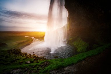 Ünlü güçlü Seljalandsfoss şelalesinin gün ışığındaki mükemmel manzarası. Dramatik ve muhteşem bir sahne. Popüler turist eğlencesi. İzlanda 'da bir yer, Avrupa turu. Güzellik dünyasını keşfedin.