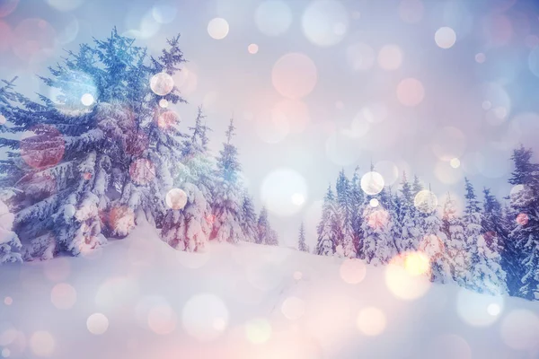 Maestoso Paesaggio Invernale Illuminato Dalla Luce Del Sole Mattino Drammatica — Foto Stock