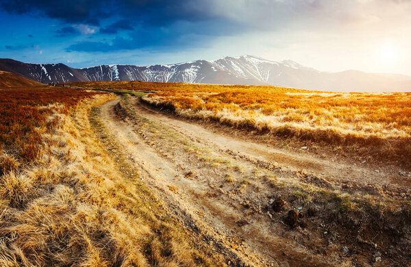 Magical yellow dry grass glowing by sunlight. Dramatic scene and picturesque picture. Location place Carpathian, Ukraine, Europe. Beauty world. Soft filter, vintage style. Instagram toning effect