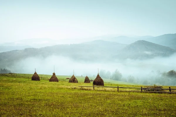 View Green Hills Which Glowing Sunlight Dramatic Scene Picturesque Picture — Stock Photo, Image