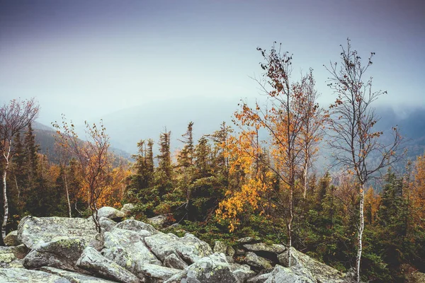 Great View Valley Which Glow Sunlight Dramatic Scene Picturesque Picture — Stock Photo, Image