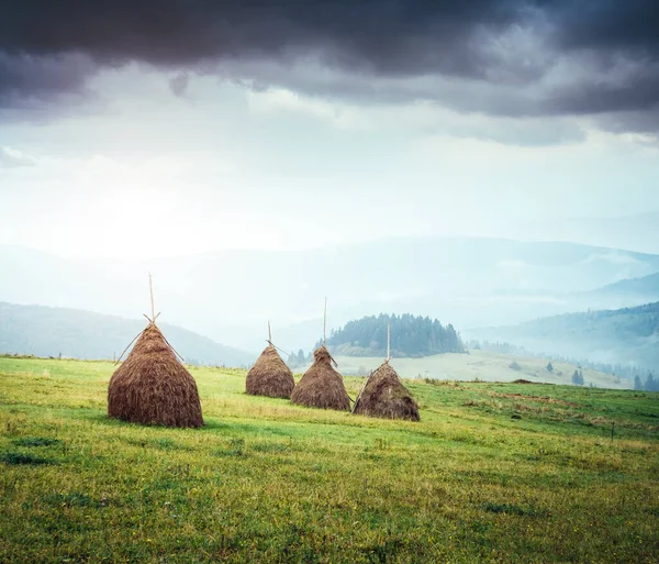 Fantastisk Utsikt Över Gröna Kullarna Som Glöder Solljus Dramatisk Scen — Stockfoto