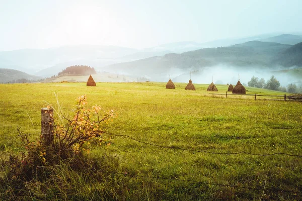 太陽の光に照らされた緑の丘の景色 劇的なシーンや絵 場所カルパティア ウクライナ ヨーロッパ 美の世界 柔らかいフィルター ヴィンテージスタイル Instagramのトーン効果 — ストック写真