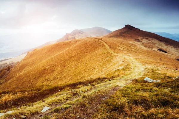 Majestic Yellow Hills Glowing Sunlight Day Dramatic Scene Picturesque Picture — Stock Photo, Image