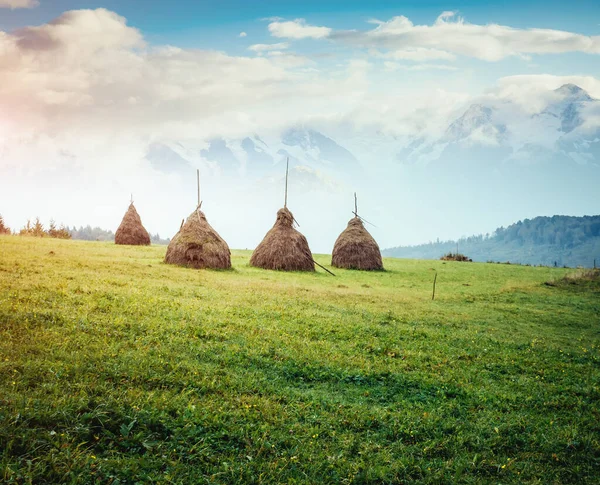 Fantastisk Utsikt Över Gröna Kullarna Som Glöder Solljus Dramatisk Scen — Stockfoto