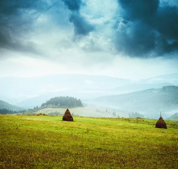 太陽の光に照らされた緑の丘の素晴らしい景色 劇的なシーンや絵 場所スイスアルプス ヨーロッパ 美の世界 レトロでヴィンテージスタイル Instagramのトーン効果 — ストック写真