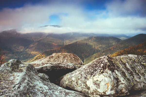 美丽的山谷 阳光灿烂 戏剧化的场景和风景如画 乌克兰 喀尔巴阡山 美丽的世界柔软的过滤器 老式风格 Instagram调音效果 — 图库照片