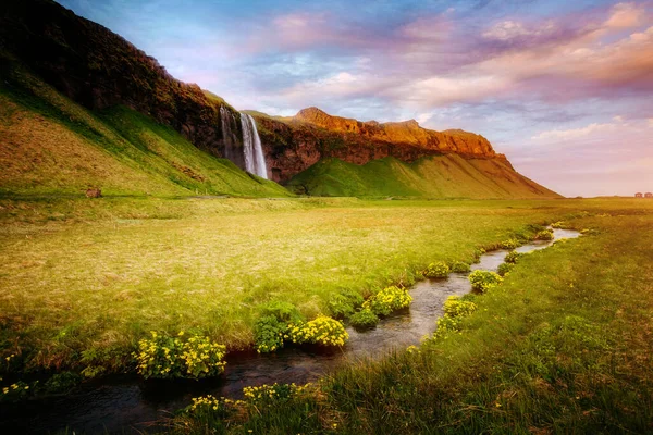 Lovely View Blooming Green Field Sunlight Dramatic Gorgeous Scene Popular — Stock Photo, Image