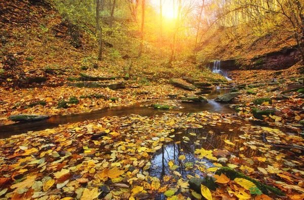 Удивительный Вид Уникальный Водопад Желтые Листья Дневном Свете Драматическая Великолепная — стоковое фото