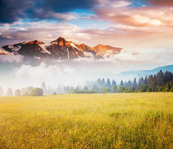 Egy Pillantás Alpesi Völgyre Reggeli Fényben Csodálatos Nap Gyönyörű Jelenet — Stock Fotó