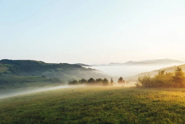 Rollend Landschap Rond Een Boerderij Het Ochtendlicht Prachtige Dag Prachtige — Stockfoto