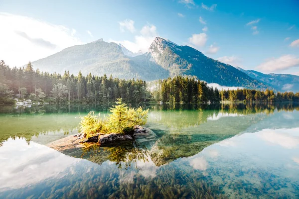 Berömd Turistattraktion Lugn Sjö Hintersee Pittoresk Dag Scen Ort Resort — Stockfoto