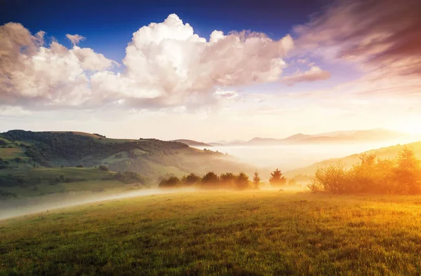 Een Blik Magische Heuvels Het Ochtendlicht Dramatische Dag Prachtige Scène — Stockfoto