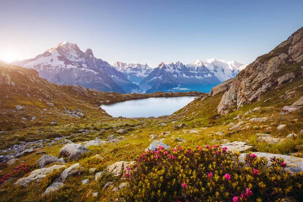 Utsikt Över Mont Blanc Glaciären Med Lac Blanc Populär Turistattraktion — Stockfoto
