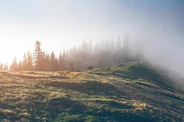 陽射しに照らされた高山の谷を一望できます 劇的で豪華な朝のシーン 場所カルパティア ウクライナ ヨーロッパ ヴィンテージトーン効果 Instagramのフィルター 美の世界 — ストック写真