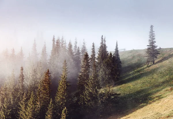 朝の霧が噴煙と共に丘を覆っていた 劇的で豪華なシーン 場所カルパティア ウクライナ ヨーロッパ クロスプロセスフィルター レトロとヴィンテージスタイル Instagramのトーン効果 美の世界 — ストック写真