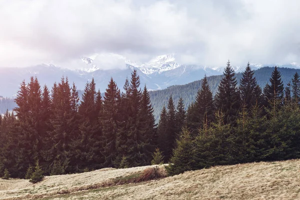 Great View Alpine Valley Glowing Sunlight Dramatic Gorgeous Morning Scene — Stock Photo, Image