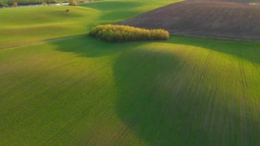 Tarım alanının yuvarlanan tepeleri, kuş bakışı muhteşem bir bahar manzarası. UHD 4k ile çekilen İHA videosu.