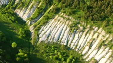 Beyaz kumlu tepeler ve yeşil ormanlar üzerinde uçan drone. UHD 4k video ile çekildi.