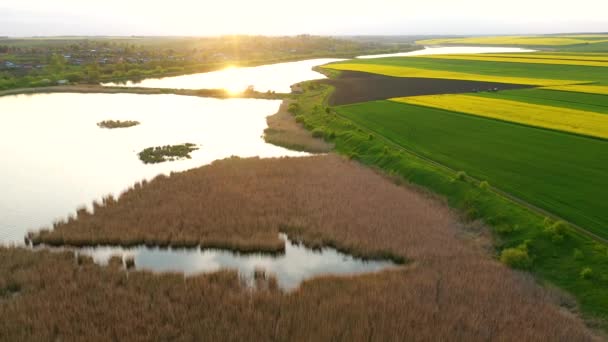 穏やかな湖の壮大な景色と夕方には日光の下で栽培されたフィールド Uhd 4Kビデオで撮影 — ストック動画