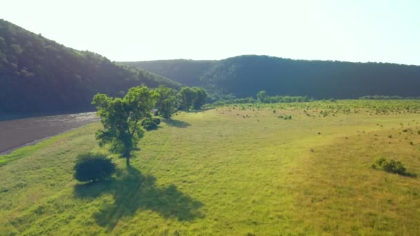 Высоты Птичьего Полета Открывается Прекрасный Вид Речной Каньон Зеленую Горку — стоковое видео